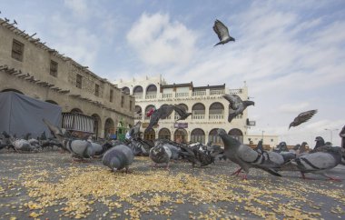 Pigeone Souq Waqif önünde 