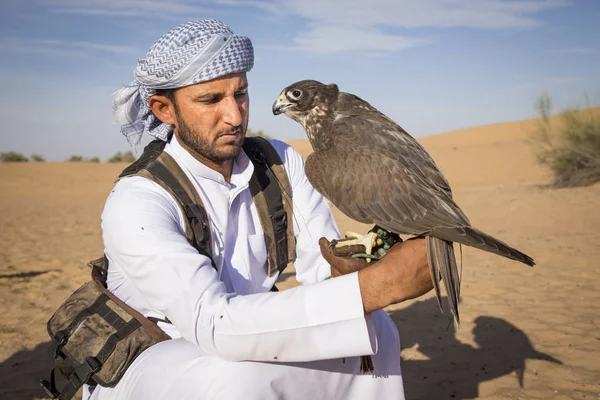 Falconer met falcon in woestijn — Stockfoto