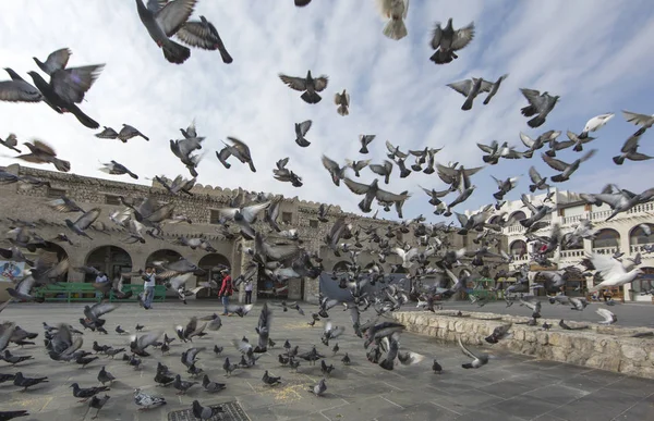 Pigeone létání před Souq Waqif — Stock fotografie