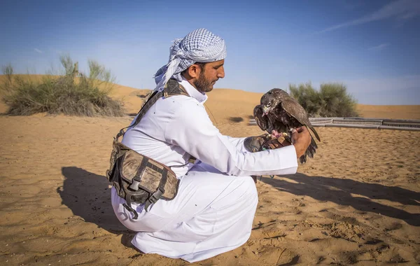 Falconer με γεράκι στην έρημο — Φωτογραφία Αρχείου