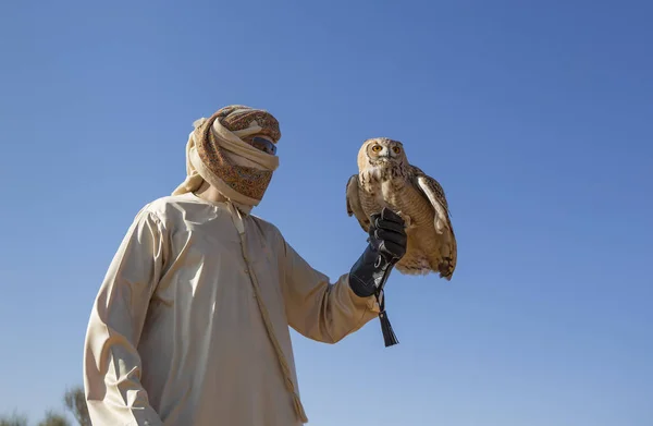 Falconer školení pouštní sova — Stock fotografie