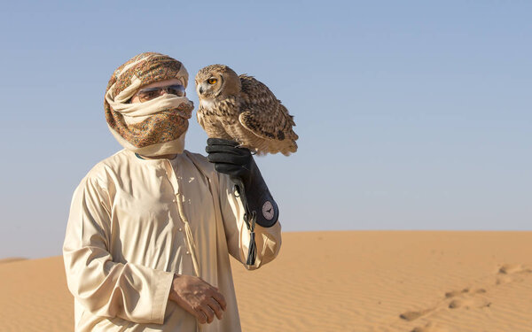 Falconer training desert owl 