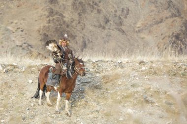 Mongolian nomad eagle hunter on his horse clipart