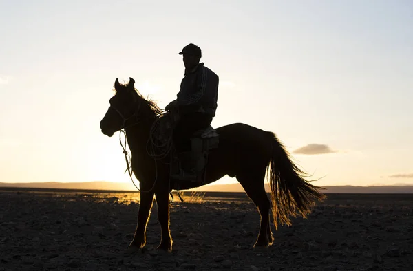 Mongol ember lovaglás ló — Stock Fotó