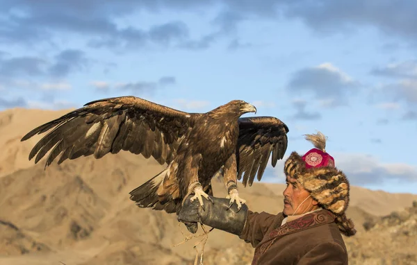Eagle hunter med hans Altai kungsörn — Stockfoto