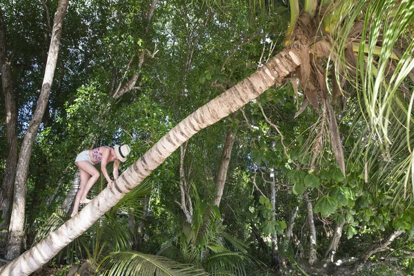 Vrouw palmboom klimmen — Stockfoto