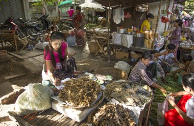 sebze satan insanlar