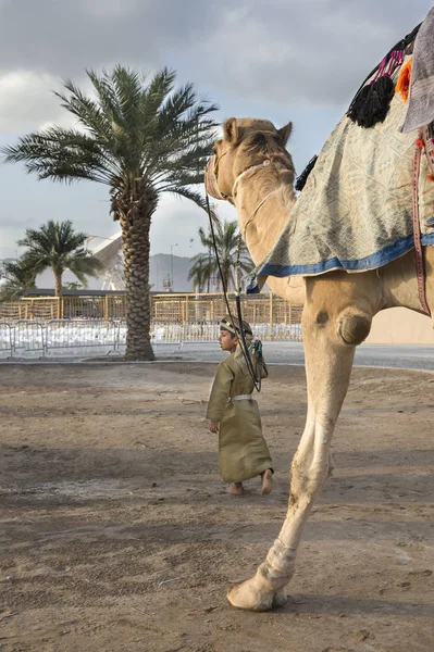 Jongen in traditionele kleding met camel — Stockfoto