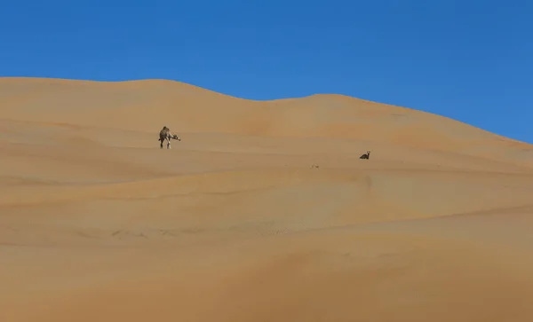 Wüste und blauer Himmel — Stockfoto