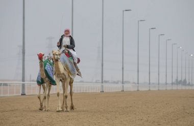 adam sürme Develer çöl