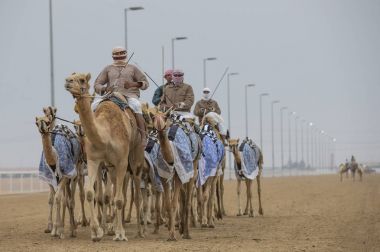 kum fırtınası deve sürme erkekler