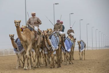 Erkek deve çölde at binme