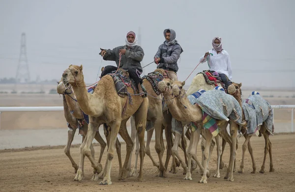 Чоловіки їзди верблюдів у піщана буря — стокове фото
