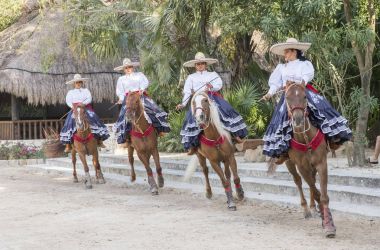 Atları Meksika kovboyların