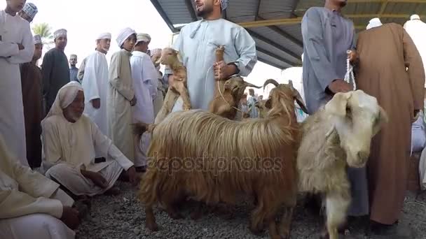 周五早上传统山羊市场 — 图库视频影像