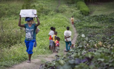 yürüyüşçüler Baliem Vadisi boyunca yürüyüş