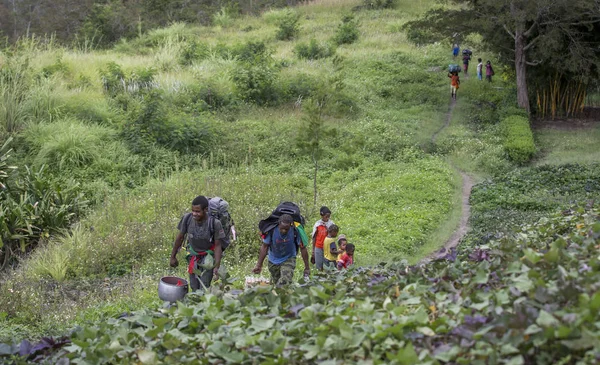 Excursionistas caminando por el valle de Baliem — Foto de Stock