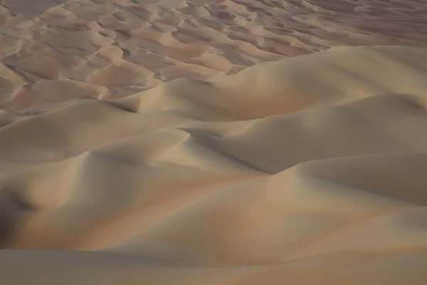 Sanddünen der Wüste — Stockfoto