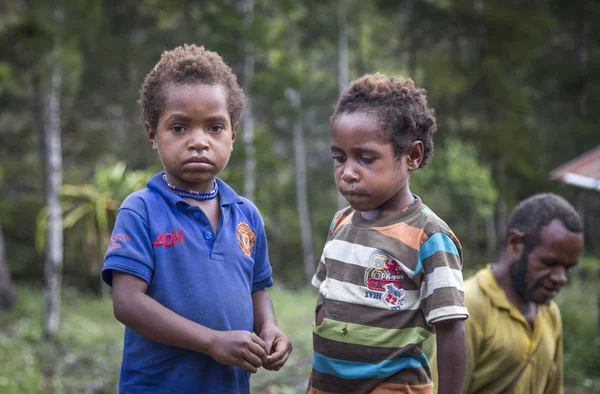 Niños de la tribu Dani en el área rural — Foto de Stock