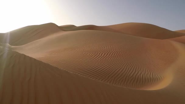 Sand dunes of Liwa desert — Stock Video
