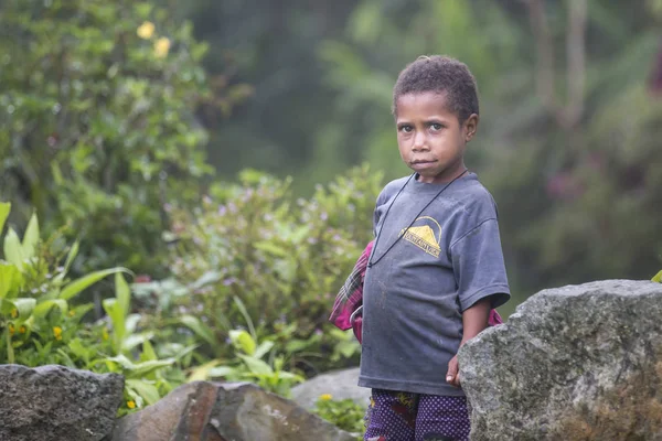 Малыш из племени дани на заднем дворе — стоковое фото