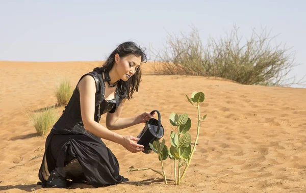 Kadın bir çölde bir bitki sulama — Stok fotoğraf