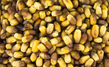 lezzetli taze tarihleri