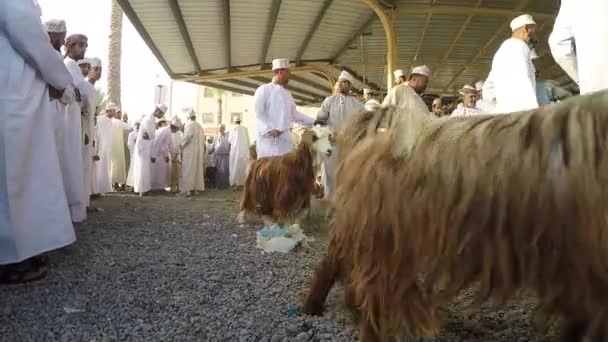 Omani Menschen auf einem nizwa habta Markt — Stockvideo