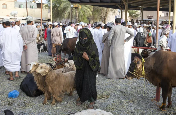 Оманську дама з неї кіз — стокове фото