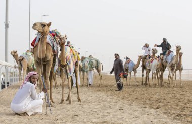 Erkekler bir çölde deve ile