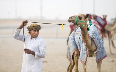 Adam bir çölde deve bir parça onun deve ile