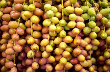 çorbaları taze tarihleri