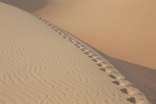 Dunes of Liwa desert and footprints — Stock Photo, Image