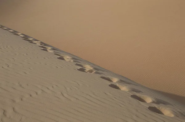 Στους αμμόλοφους της ερήμου Liwa και ίχνη — Φωτογραφία Αρχείου