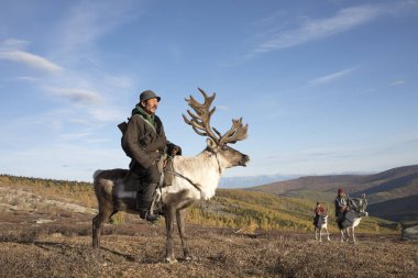  man in traditional deel traveling with reindeer  clipart