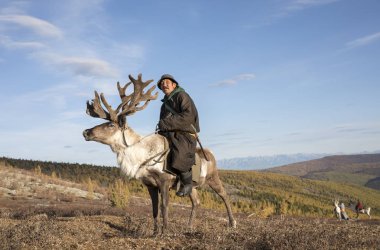  man in traditional deel traveling with reindeer  clipart