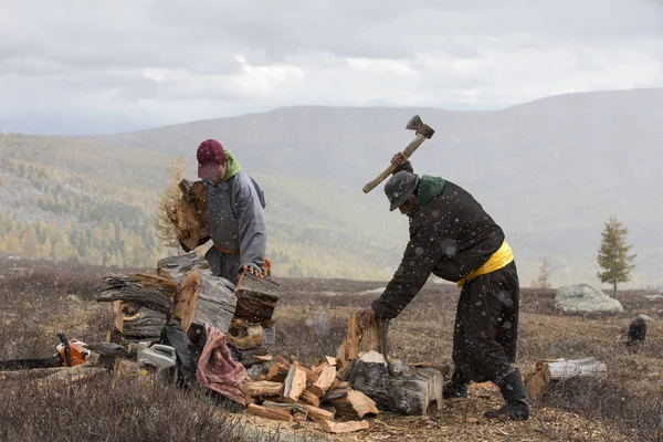 mongolian nomad chopping firewood with ax