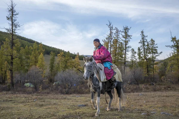 Μογγολικό ιππείς με άλογο στην στέπα — Φωτογραφία Αρχείου
