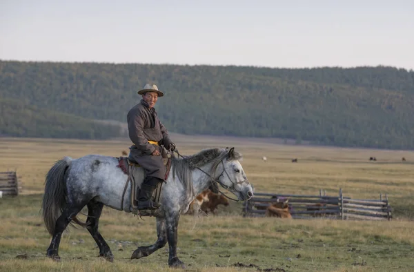 Mongolian man riding horse at sunset — Stock Photo, Image