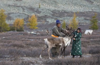couple with reindeer in taiga clipart