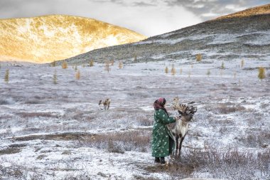 tsaatan woman with reindeer in taiga clipart