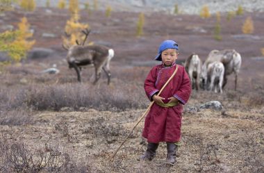 tsaatan boy with deer in steppe clipart
