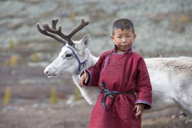 tsaatan boy with reindeer in taiga clipart