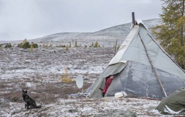 tsaatan çocuk ailesi yurt dışında arıyorsunuz