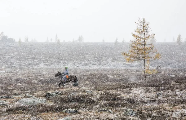 Jinetes mongoles con caballo en tormenta de nieve — Foto de Stock