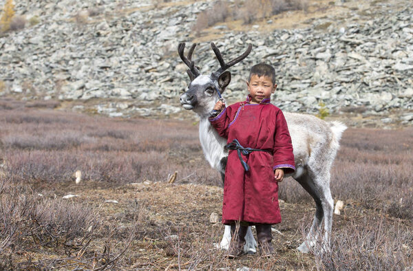 tsaatan boy with reindeer in taiga