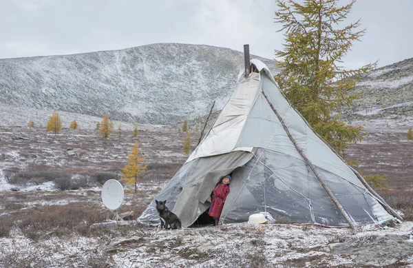 tsaatan çocuk ailesi yurt dışında arıyorsunuz