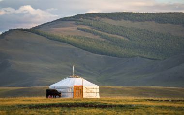 Peyzaj Moğolistan Moğol ger