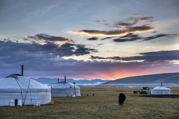 Mongolianos gers en el paisaje de Mongolia — Foto de Stock