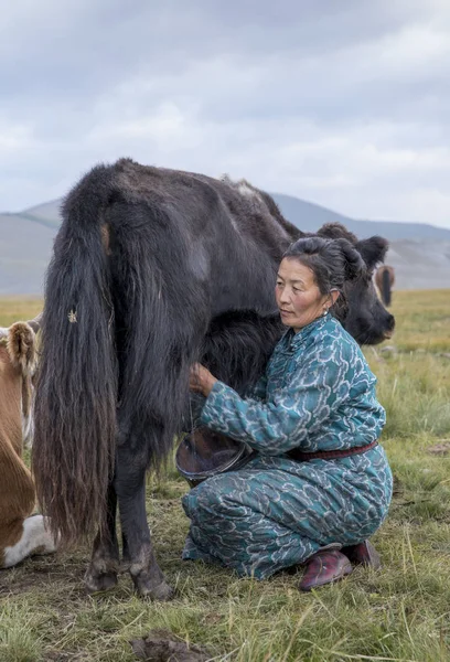 Mongoolse vrouw melken een koe — Stockfoto